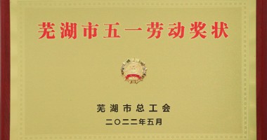 喜報！我們又獲獎了！